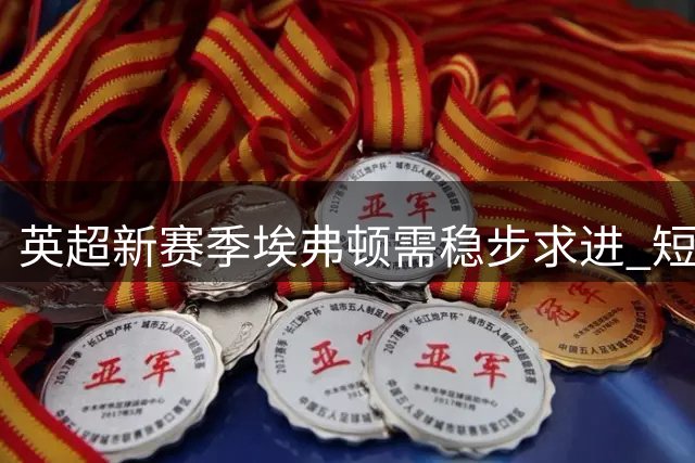 英超新赛季埃弗顿需稳步求进 短期内难有突破性飞跃